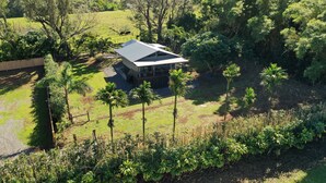 Une maison avec un toit en pente, entourée d’une végétation luxuriante et de palmiers.
