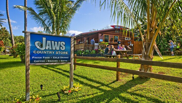 Une enseigne pour le magasin Jaws Country Store, avec une clôture en bois et des palmiers en arrière-plan.