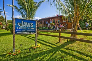 Une enseigne pour le magasin Jaws Country Store, avec une clôture en bois et des palmiers en arrière-plan.