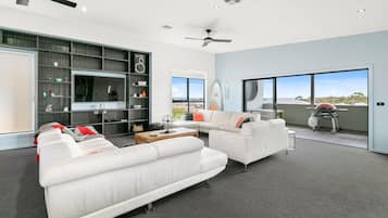 TV, fireplace, ping pong