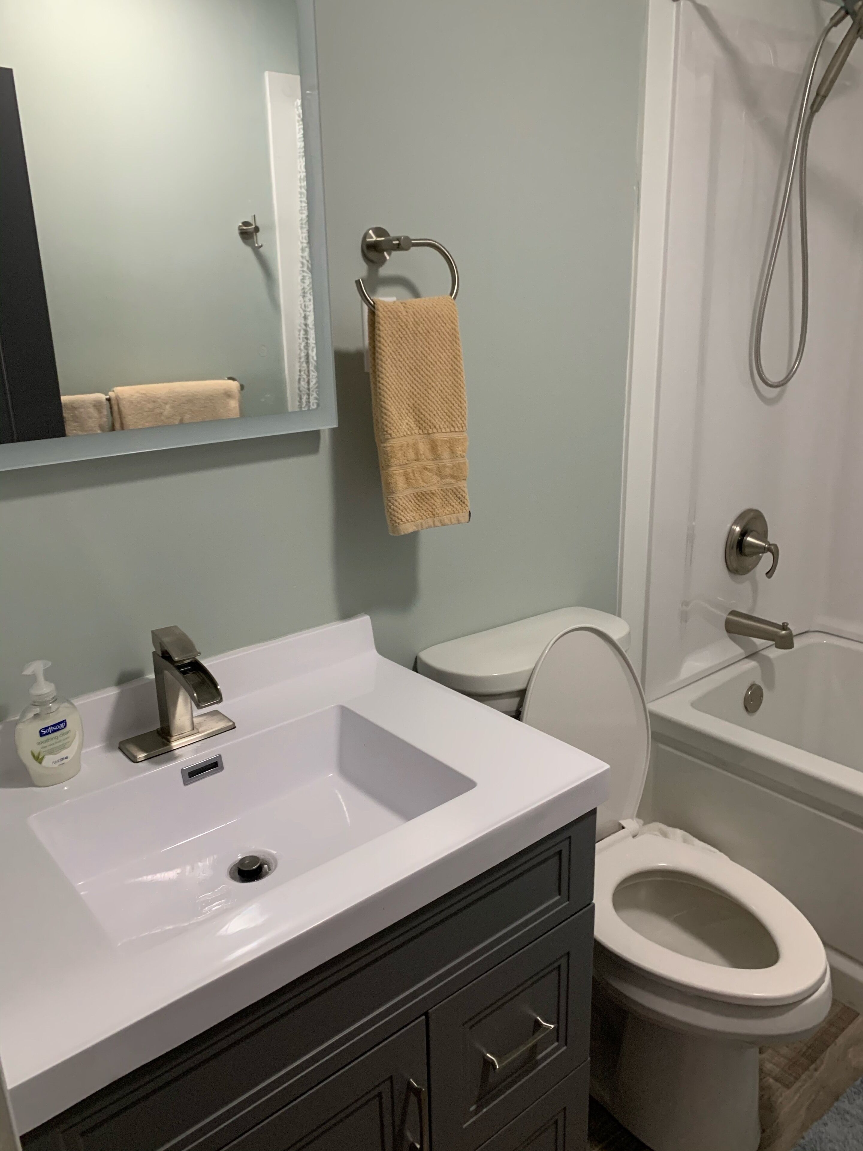 Combined shower/bathtub, jetted bath, hair dryer, towels