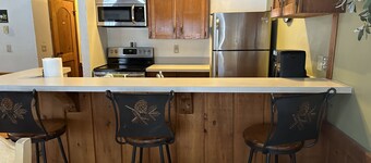 Crystal Mtn Condo, walk to lift,  soaking tub, short drive to Iron Fish & Lk MI