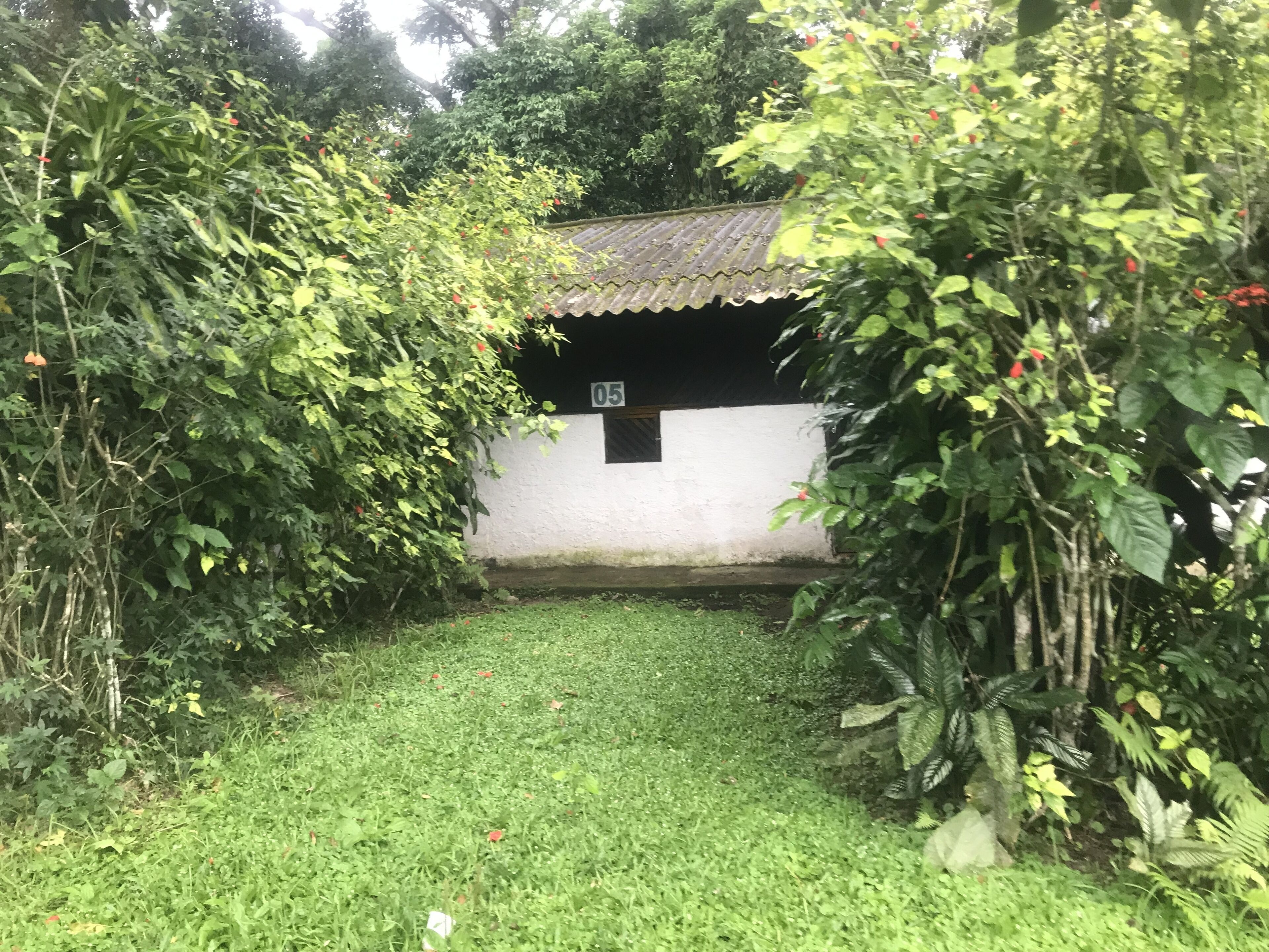 Khuôn viên nơi lưu trú