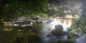 Hot springs - Hotel Country Clube (Guapimirim)