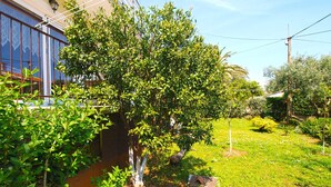 A well-maintained garden with a variety of shrubs and a large tree in front of a building with a window. - Apartment 1227/11310 (Istria - Premantura), 300m from the beach (Premantura)