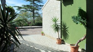 Um pátio com piso de azulejos, plantas em vasos e uma parede verde.