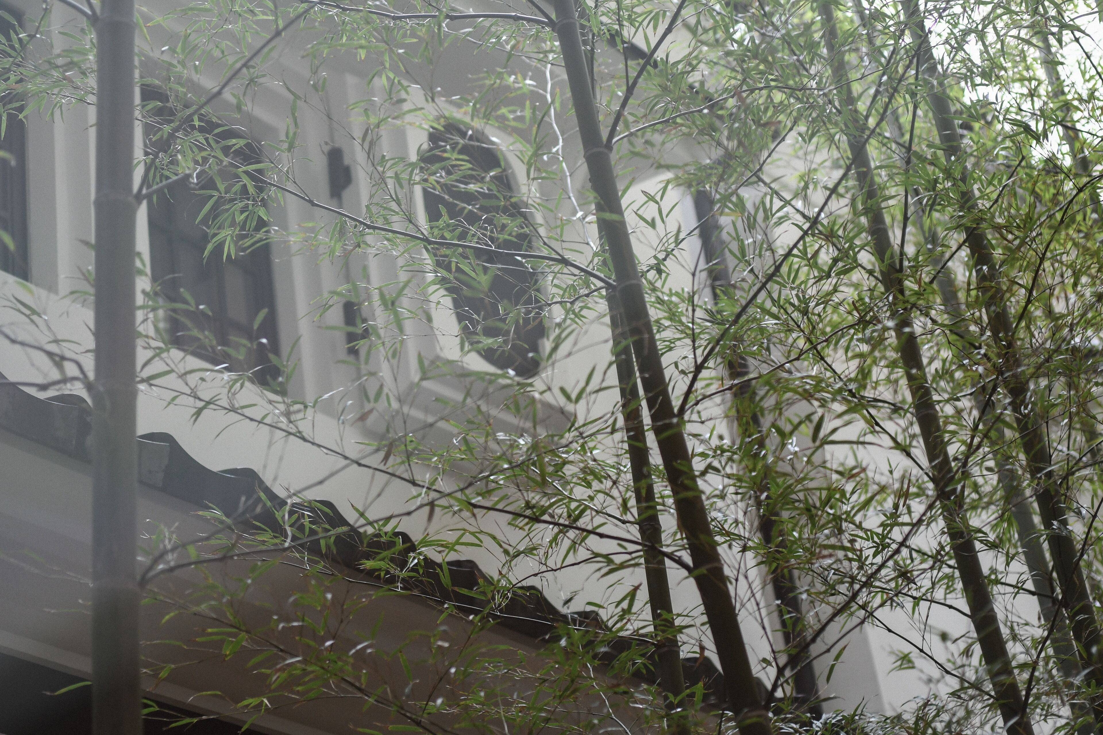 Foto - The Hiramatsu Kyoto