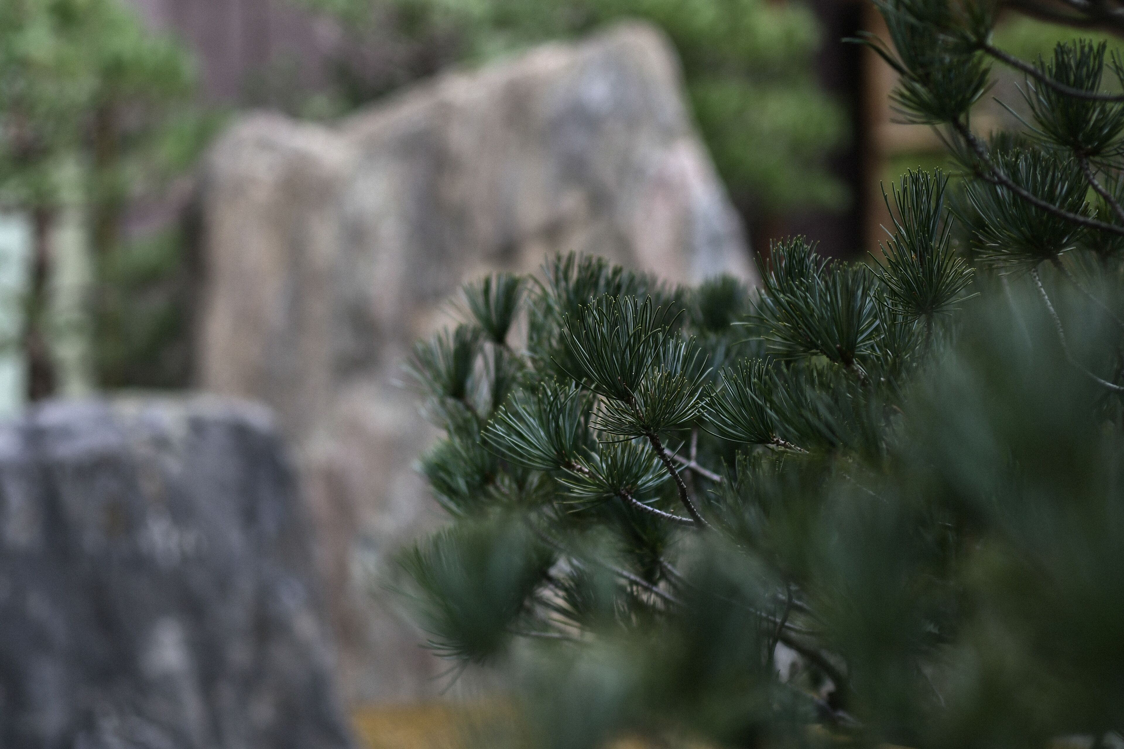 Foto - The Hiramatsu Kyoto