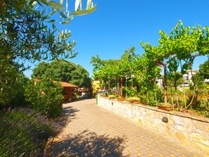 Property grounds - Apartment 1318/12541 (Istria - Pomer), 700m from the beach (Pomer)
