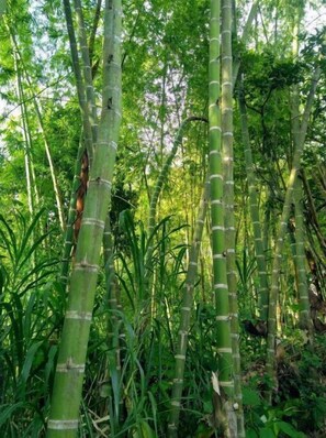 Imagem sem classificação, 3 de 14, botão