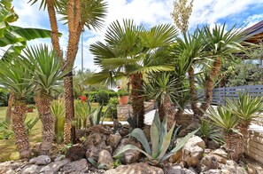 Stroll through a lush garden surrounded by tropical plants and palm trees, set against a natural stone wall.