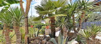 Apartment 1376/12962 (Istria - Valbandon), 500m from the beach