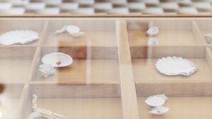 A dining table with chairs, a checkered floor, and a glass display case with decorative items. - Apartment 1398/13153 (Istria - Pjescana Uvala), 350m from the beach (Pjescana Uvala)