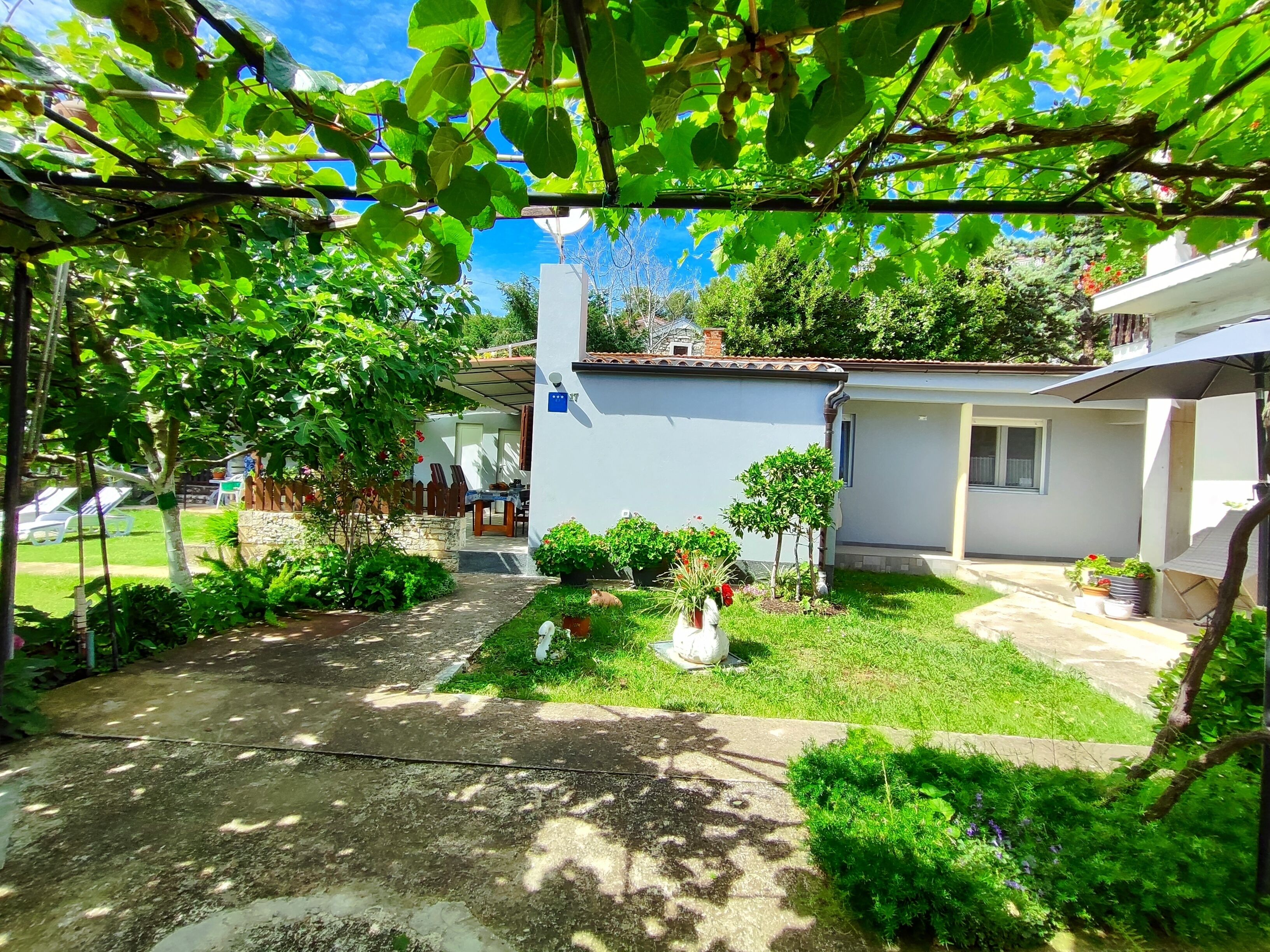 A residential garden with a house, a small tree, and a white wall.