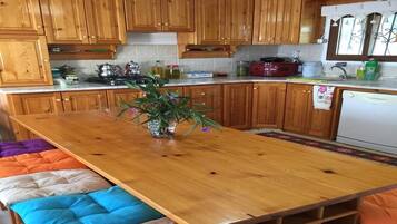 Villa | Eigene Kochnische | Großer Kühlschrank, Mikrowelle, Ofen, Herdplatte