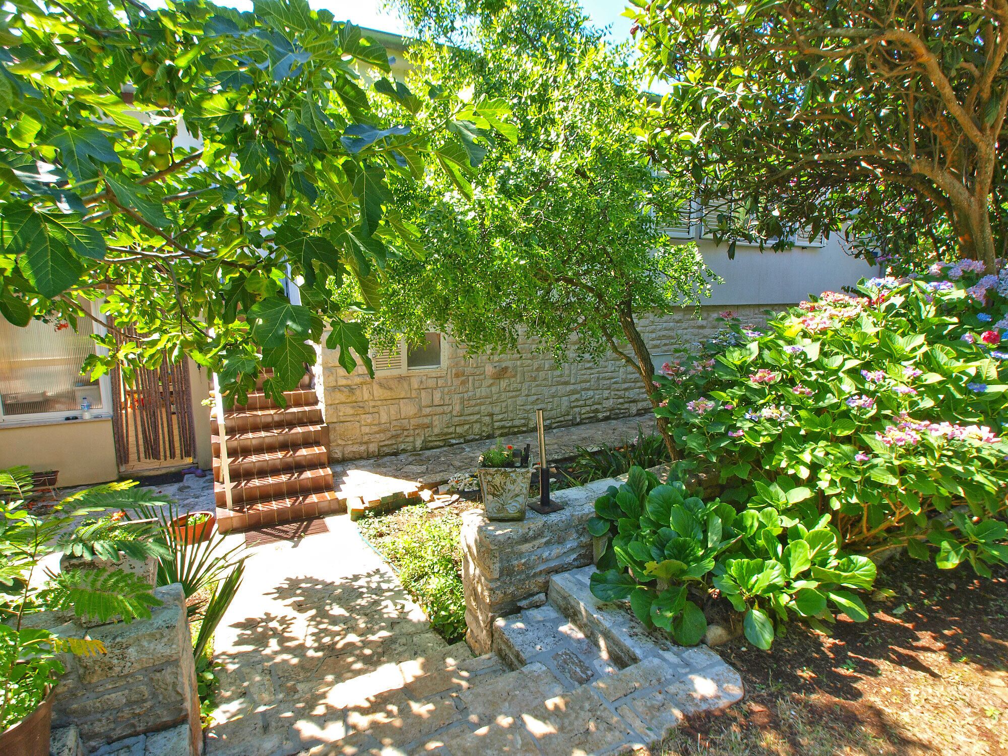 Áreas de la propiedad