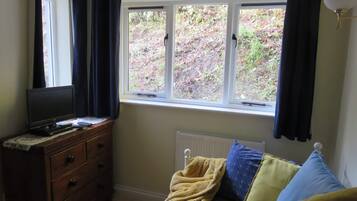 智能电视、壁炉、DVD 播放器、书