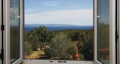 Apartment 1437/13351 (Istria - Krnica), 1000m from the beach