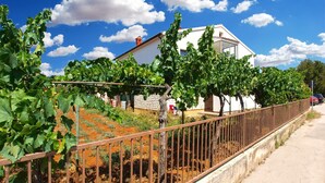 A vineyard with rows of grapevines, a white building with a red roof, and a metal fence along a paved path. - Apartment 1468/13511 (Istria - Fažana), 300m from the beach (Fažana)