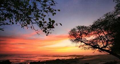 Samarkand is an old city with a few historical and interesting places.