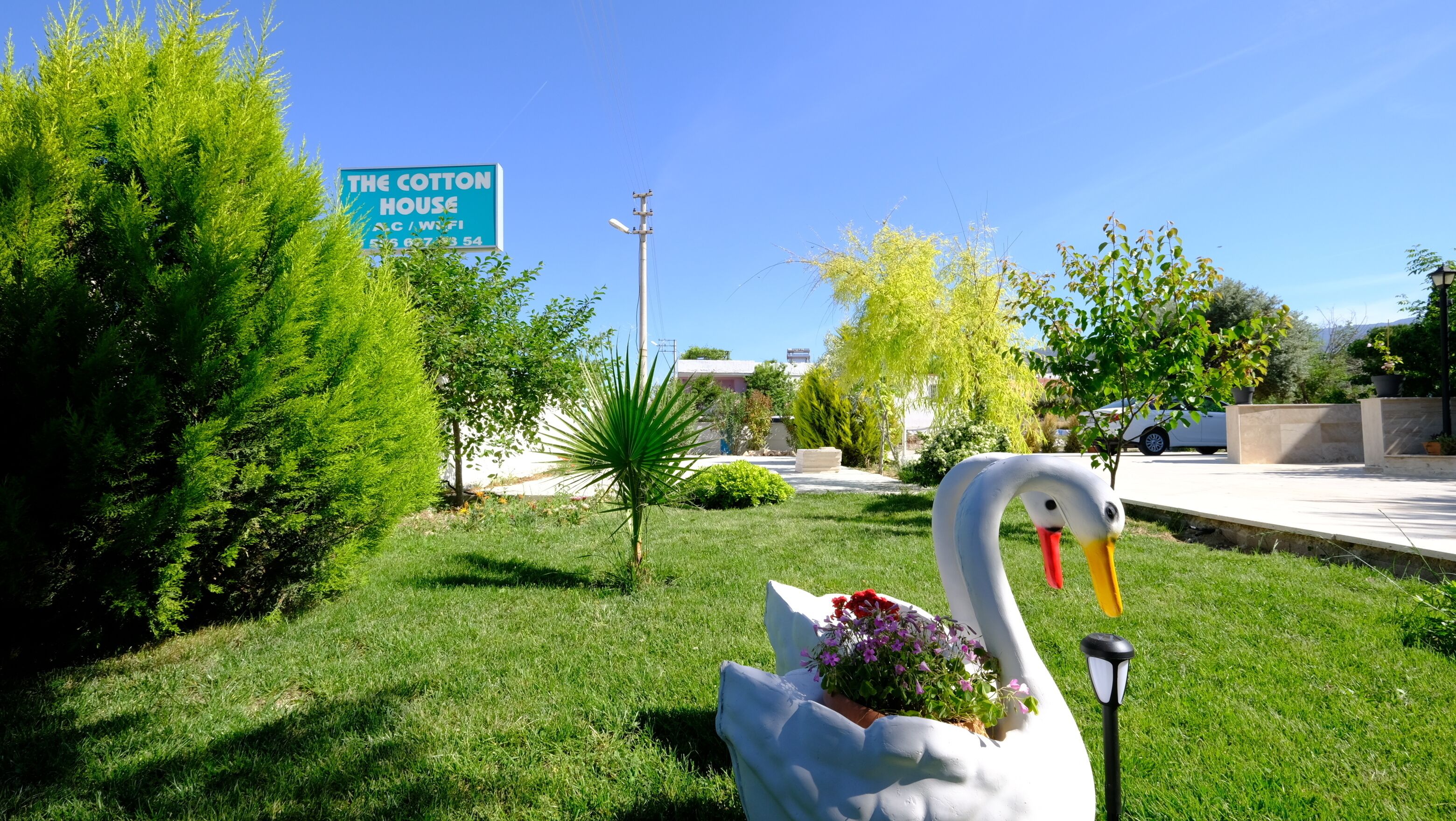 Une statue de cygne agrémentée d’un arrangement floral dans un jardin, une enseigne indiquant « The Cotton House » avec un numéro de téléphone, ainsi que diverses plantes et un lampadaire.