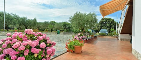 Terraza o patio