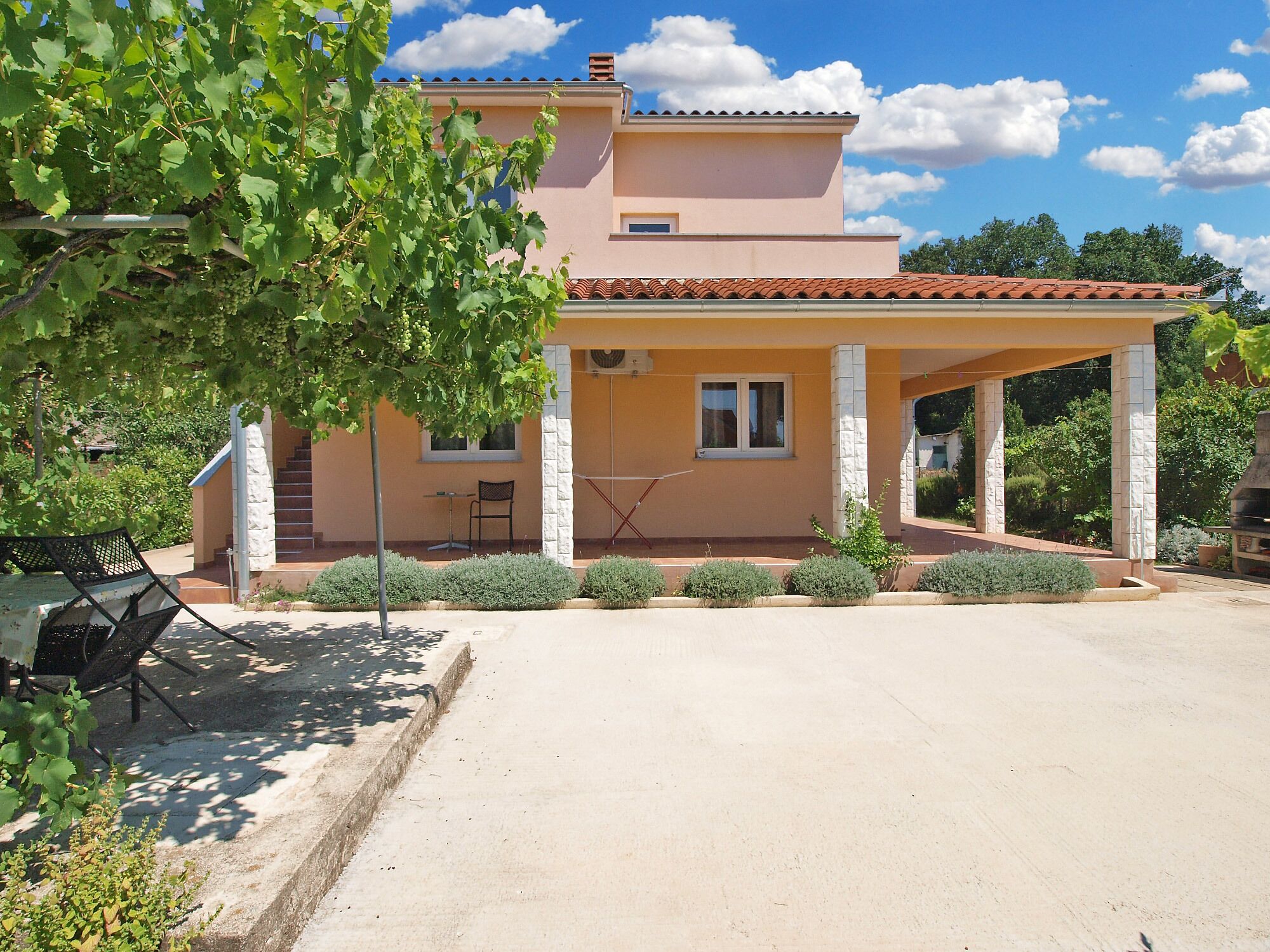 テラス / パティオ