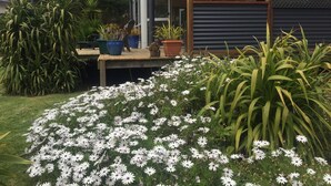Una casa con porche cubierto, plantas en macetas y un jardín con flores blancas.