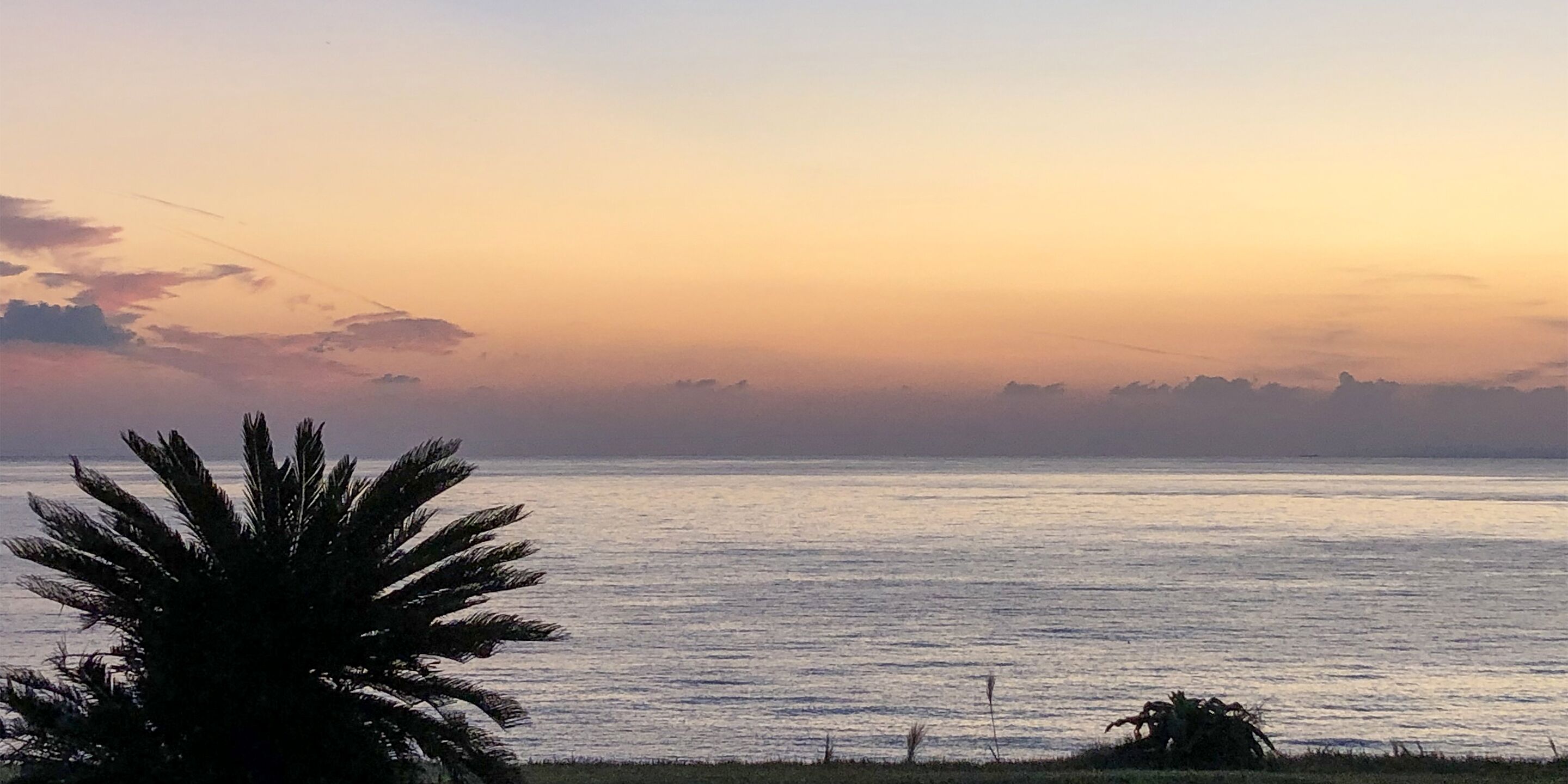 A coastal sunset view with a palm tree silhouette and calm sea.