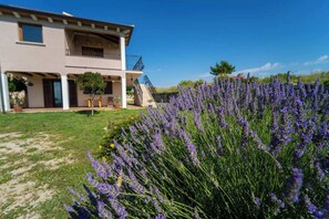 Exterior - Apartment 1606/16499 (Istria - Labin), 3000m from the beach (Labin)