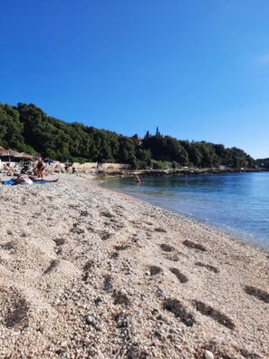 Beach - Apartment 1651/17130 (Istria - Pjescana Uvala), 350m from the beach (Pjescana Uvala)