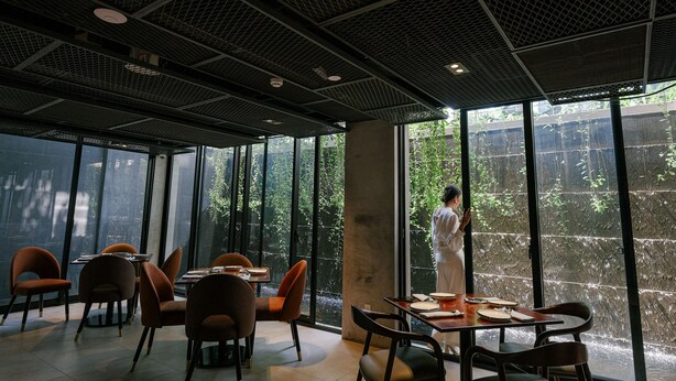 A modern dining area with large windows, indoor plants, and a person standing by the window.