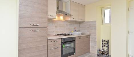 Fridge, oven, stovetop, cookware/dishes/utensils