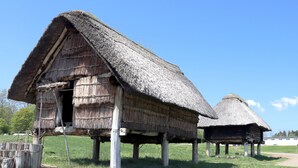 A traditional thatched-roof structure with a wooden door, supported by wooden posts, in a grassy field.