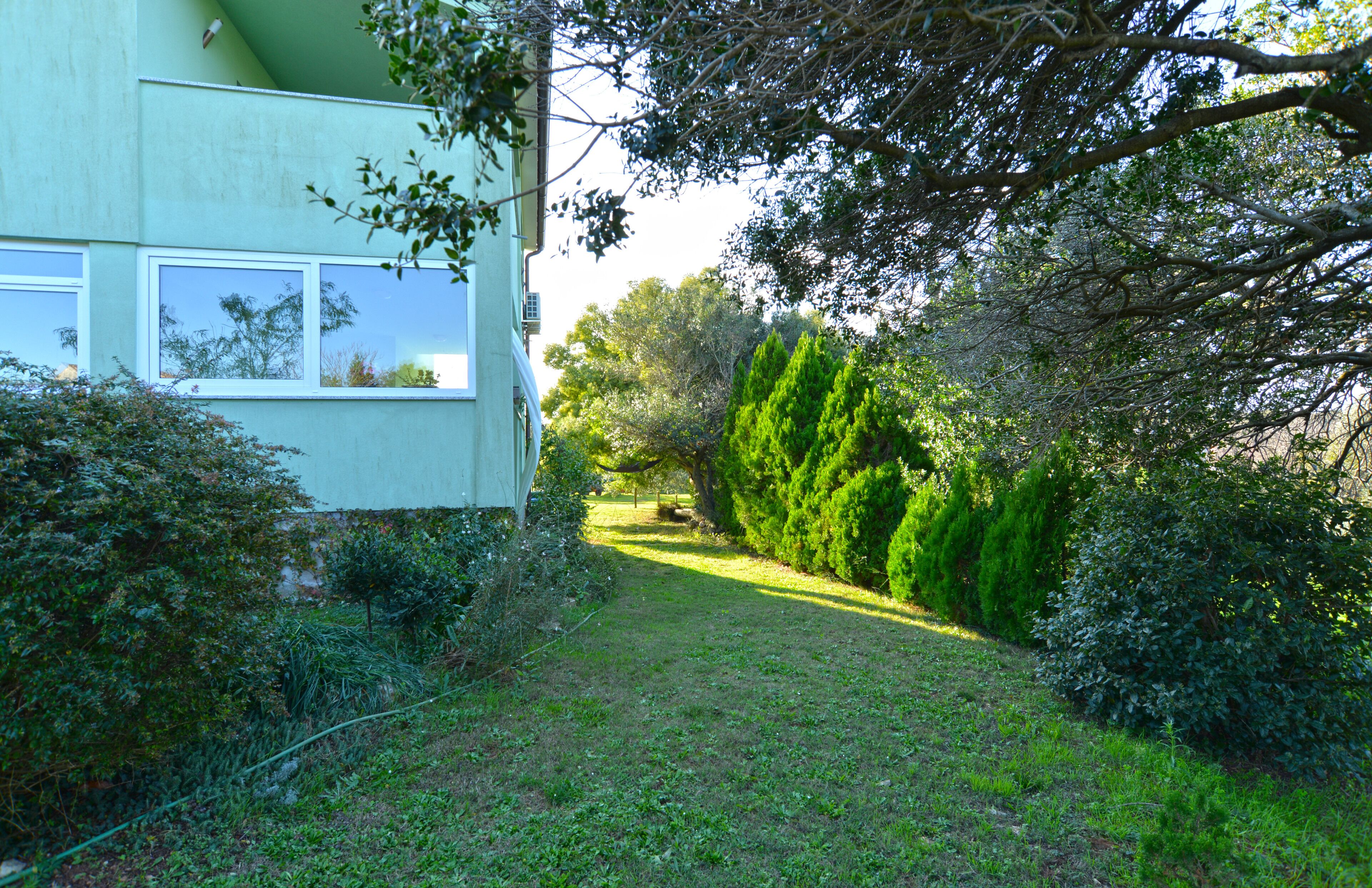 A house with a garden path leading to a door, surrounded by dense greenery and trees.
