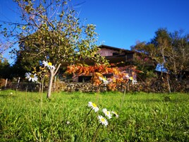 Una casa con un muro de piedra y un árbol en primer plano.