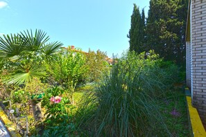 Stroll through the serene garden, surrounded by lush greenery and vibrant flowering shrubs.