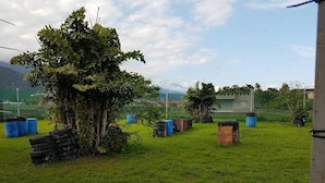 Un espacio al aire libre con un campo de césped, árboles y neumáticos dispersos.