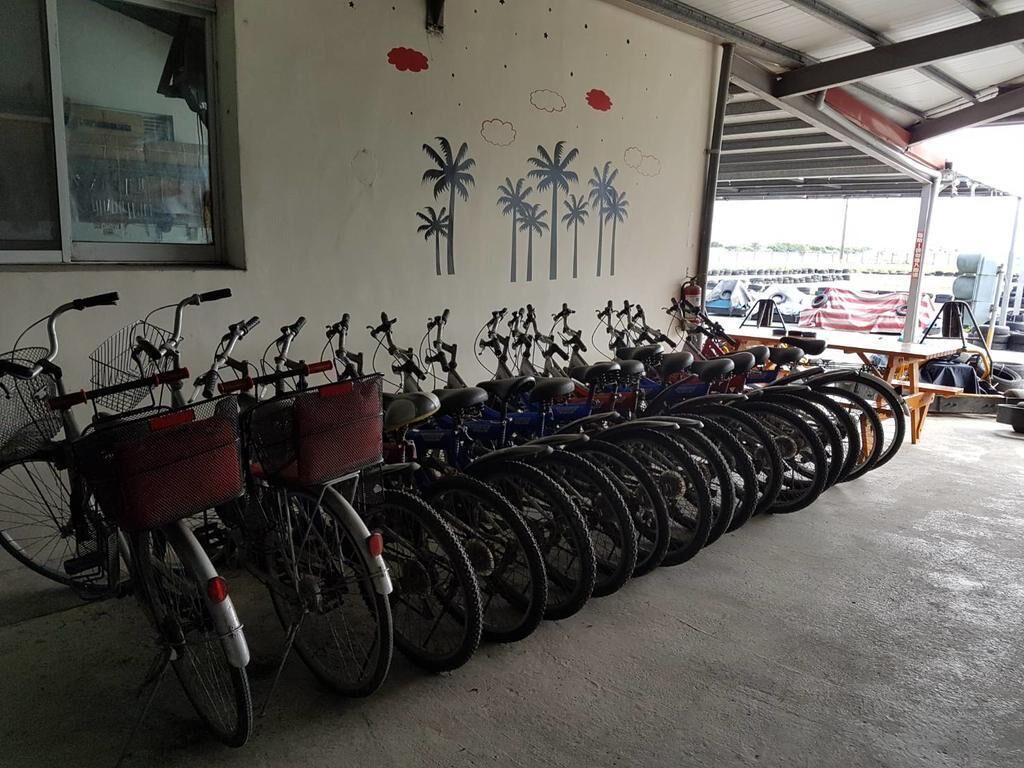 A row of bicycles parked indoors with a wall mural of palm trees and clouds.