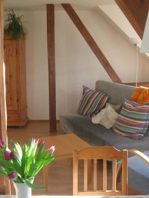 Leilighet | Oppholdsområde | Bordtennis