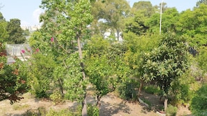 Property grounds - Guesthouse Luisella (Cagliari)