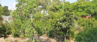 Guesthouse Luisella