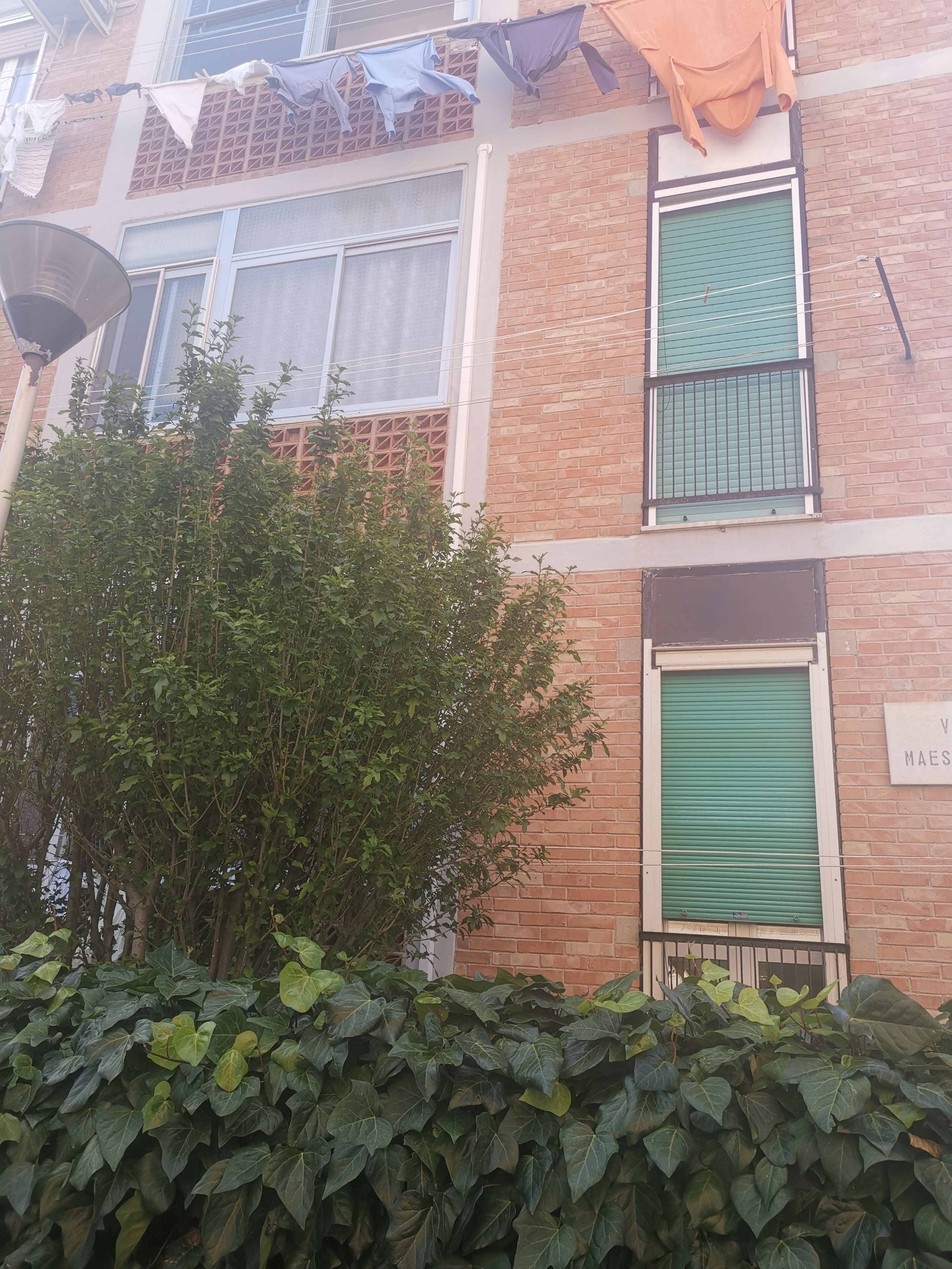 Foto - Guesthouse Luisella