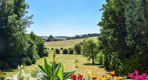 إطلالة على الشارع من المنشأة