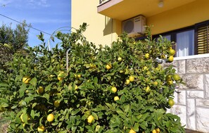 Property grounds - Apartment 1956/24966 (Istria - Stinjan), 500m from the beach (Stinjan)