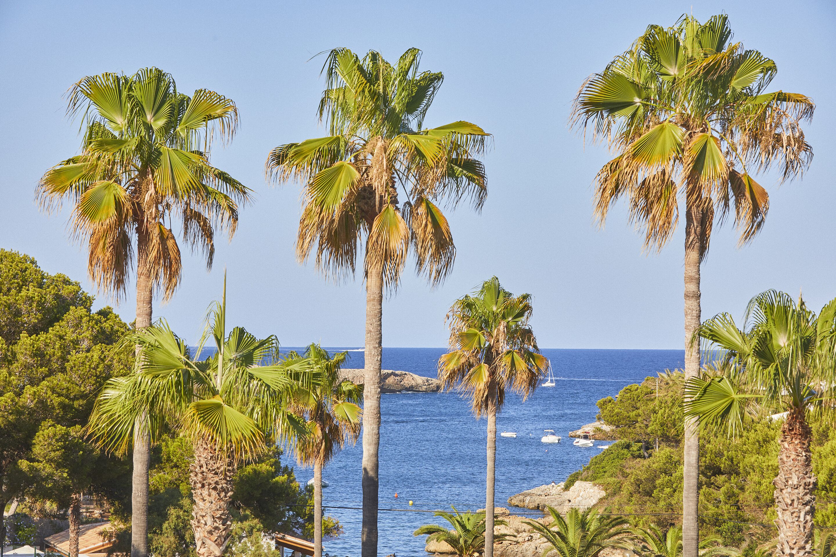 Photo - Hotel Rocamarina - Adults Only