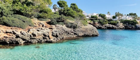 A coastal area with clear turquoise water, rocky cliffs, and dense greenery.