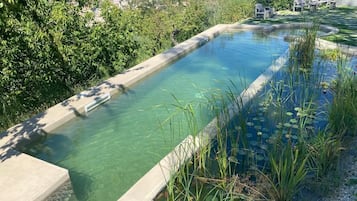 Piscina all'aperto, ombrelloni da piscina, lettini