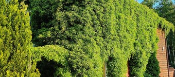 Wakacje Na Wyspie Campsite