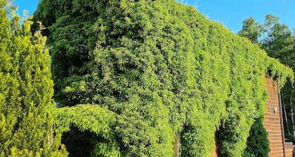 Wakacje Na Wyspie Campsite